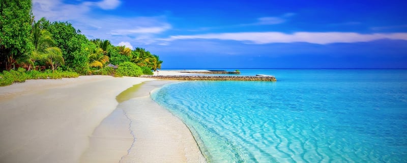 The Maldives